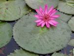 ภาพโดย(T.suwan)